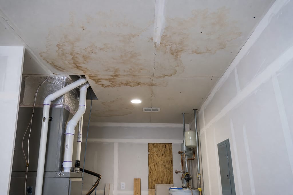 Water Stain & Water Damage Repair photo