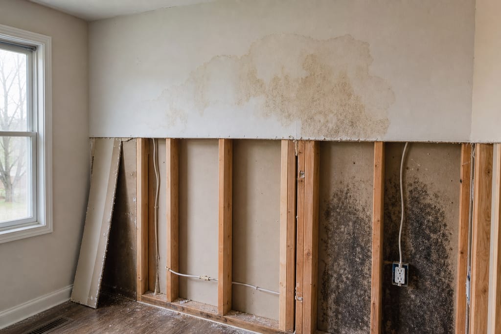 Assess salvageable vs damaged material photo